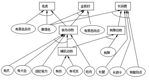 人工智能基礎(chǔ)軟件項(xiàng)目開(kāi)發(fā)實(shí)踐 以動(dòng)物識(shí)別產(chǎn)生式系統(tǒng)為例